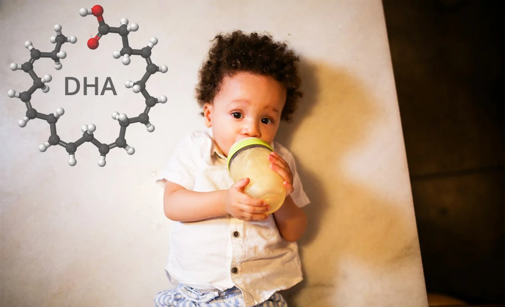 dha in infant formula