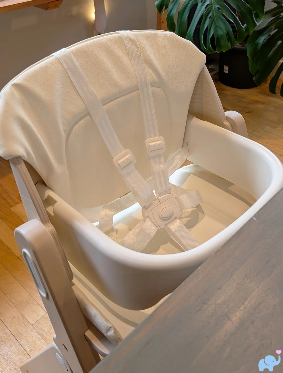 Mamazing GrowPod positioned at dining room table without tray